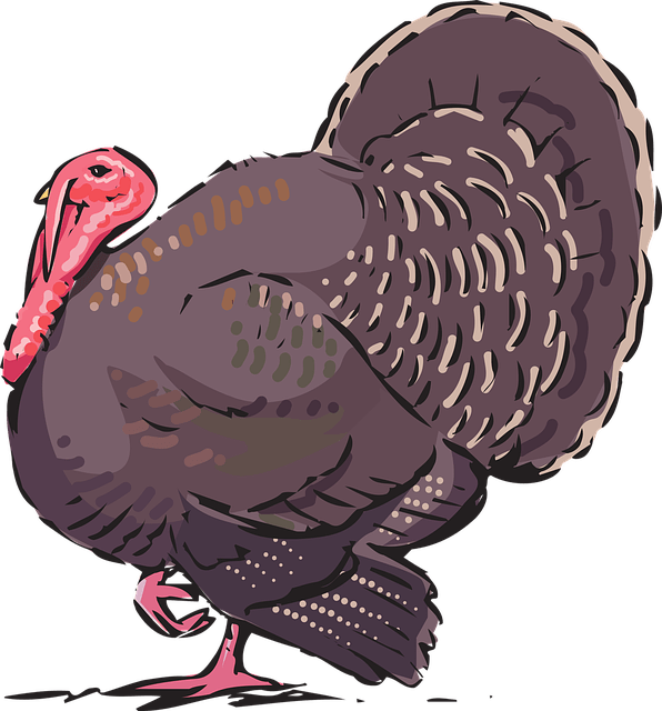 2021 Thanksgiving & Christmas Giving